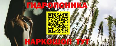 гашик Шахты