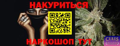 гашик Шахты
