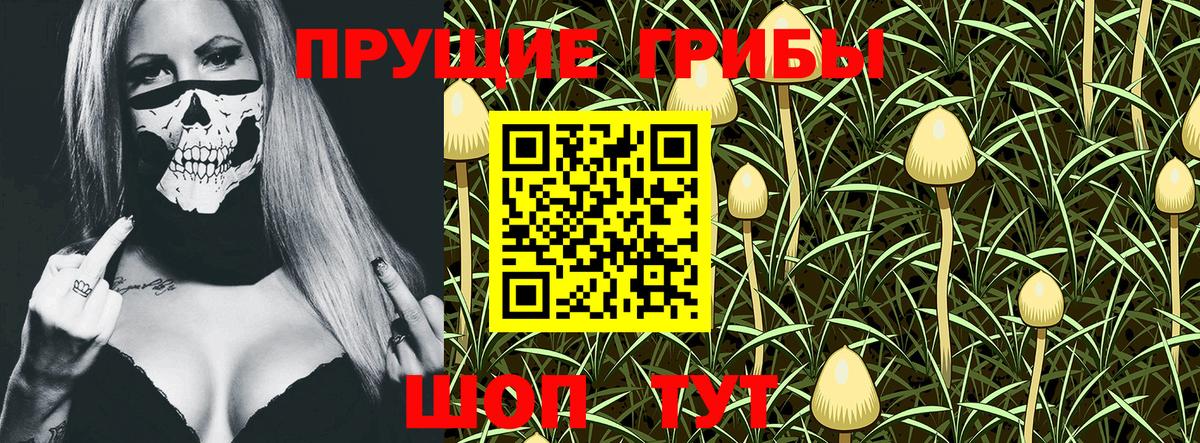 Галлюциногенные грибы Cubensis Евпатория
