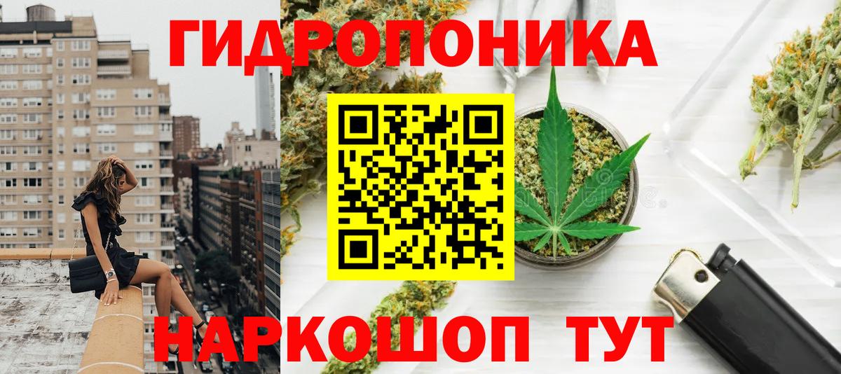 Каннабис план  МАРИХУАНА SATIVA & INDICA  Евпатория  Вход с VPN  Канабис MAZAR 